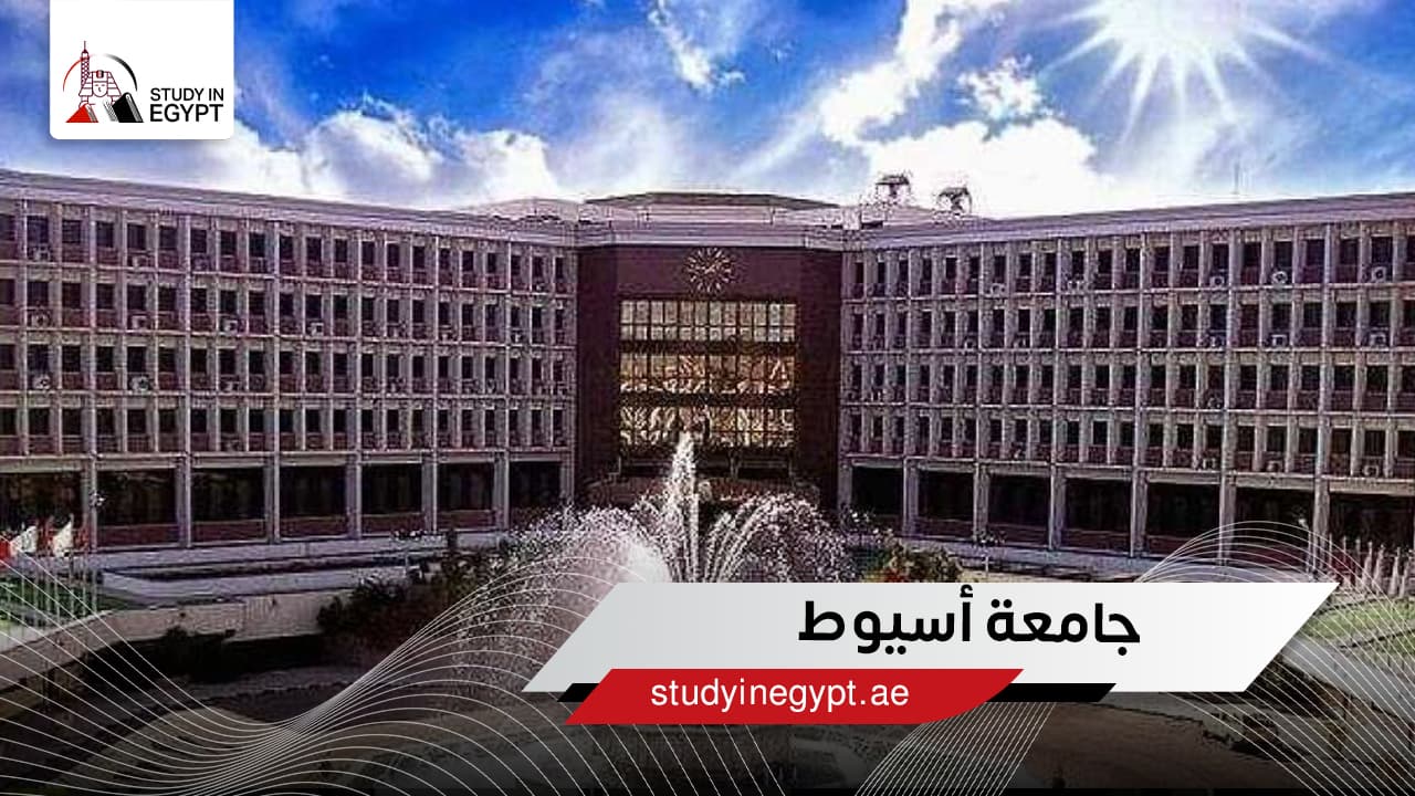 جامعة أسيوط جامعة أسيوط