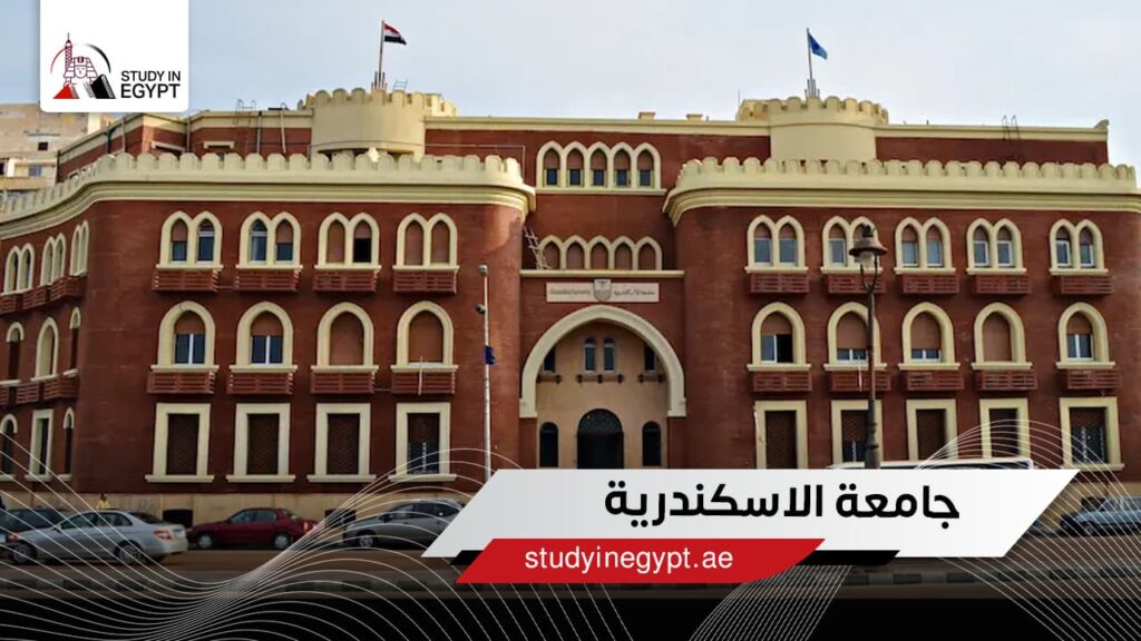 جامعة الاسكندرية