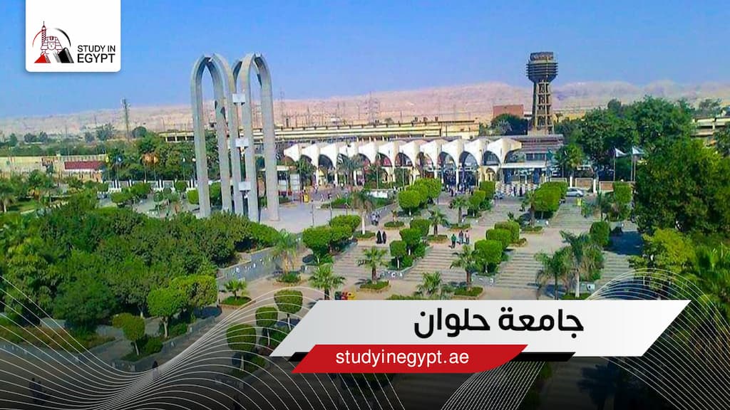جامعة حلوان