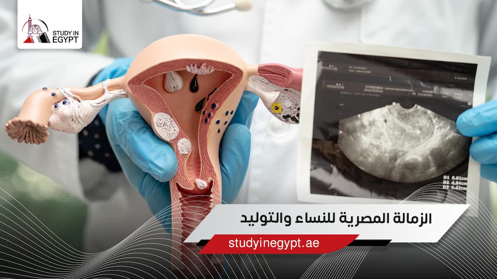 الزمالة المصرية للنساء والتوليد