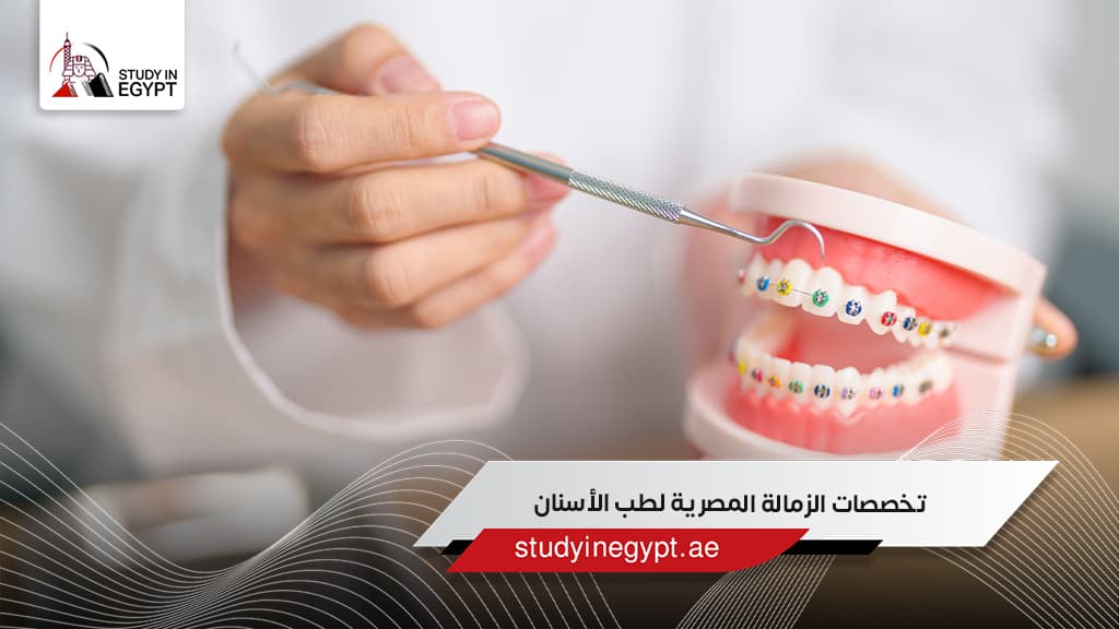 تخصصات الزمالة المصرية لطب الأسنان
