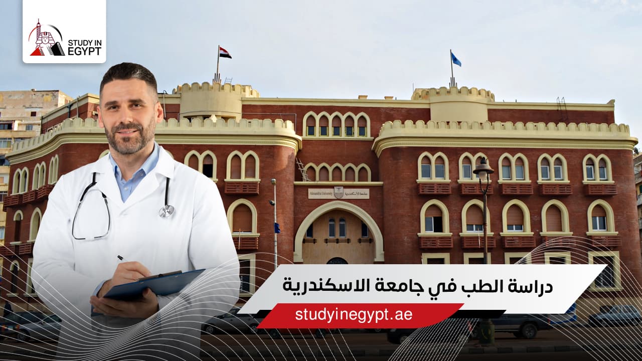 دراسة الطب في جامعة الاسكندرية دراسة الطب في جامعة الاسكندرية