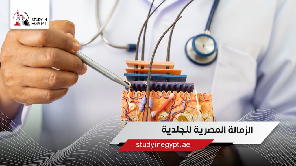 الزمالة المصرية للجلدية الزمالة المصرية للجلدية