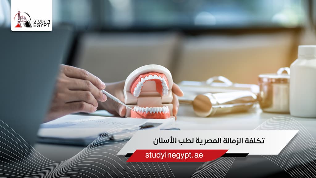 تكلفة الزمالة المصرية لطب الأسنان تكلفة الزمالة المصرية لطب الأسنان