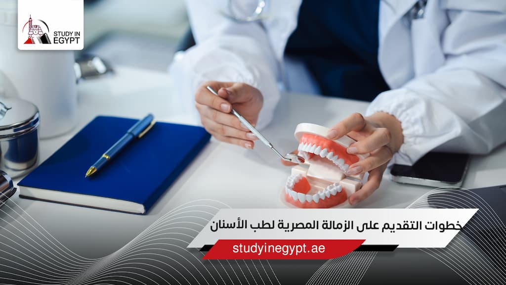 خطوات التقديم على الزمالة المصرية لطب الأسنان