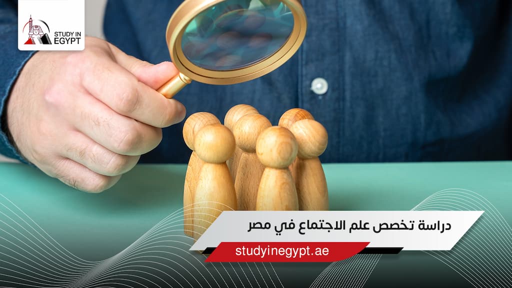دراسة تخصص علم الاجتماع في مصر