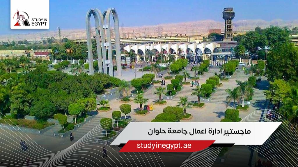 ماجستير ادارة اعمال جامعة حلوان