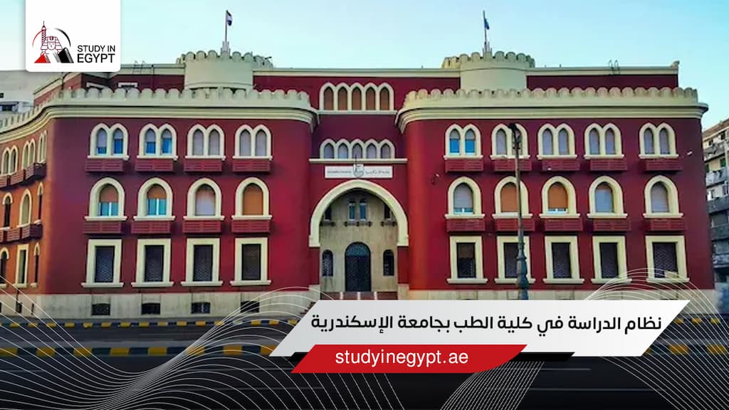 نظام الدراسة في كلية الطب بجامعة الإسكندرية