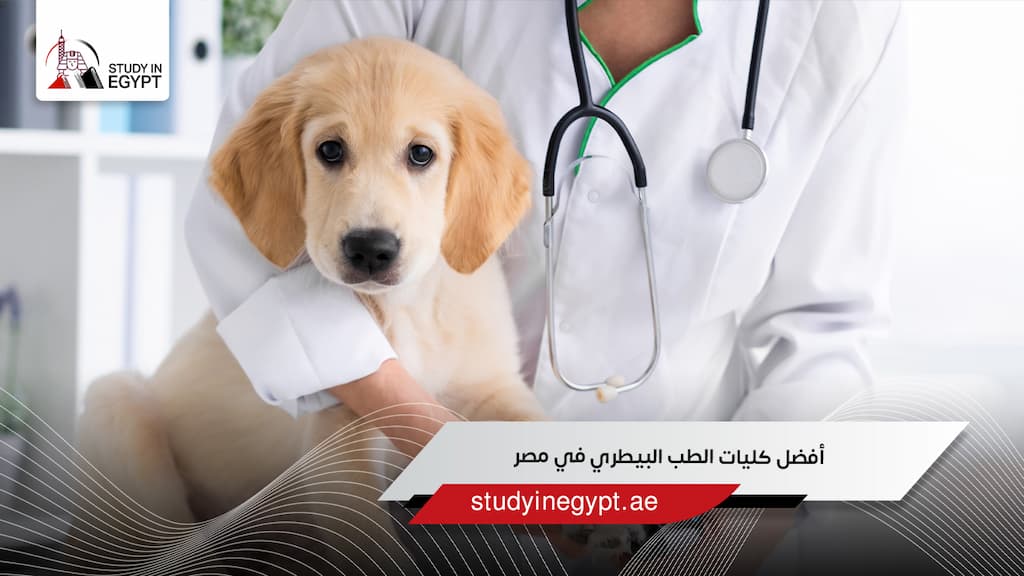 أفضل كليات الطب البيطري في مصر