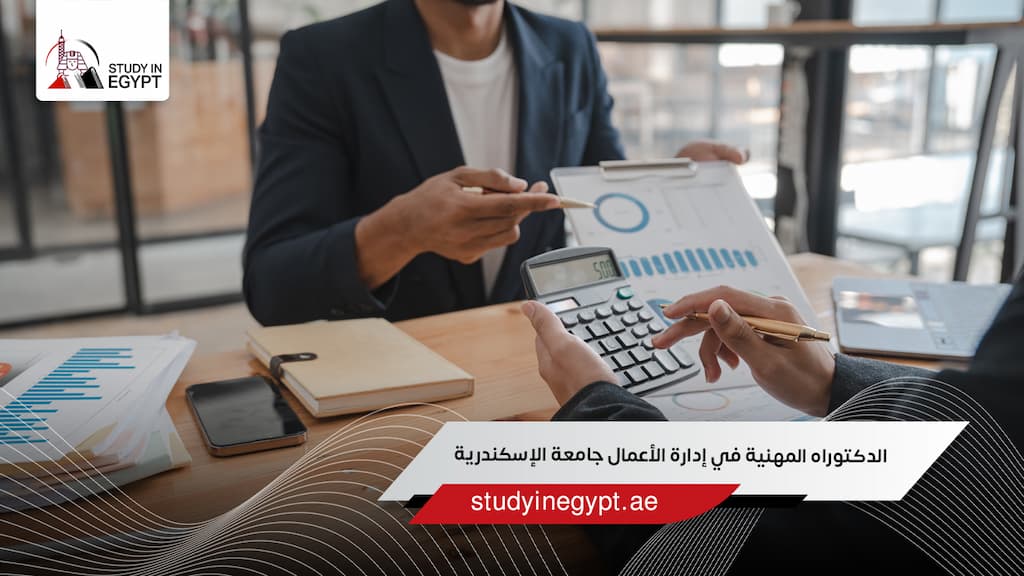 الدكتوراه المهنية في إدارة الأعمال جامعة الإسكندرية