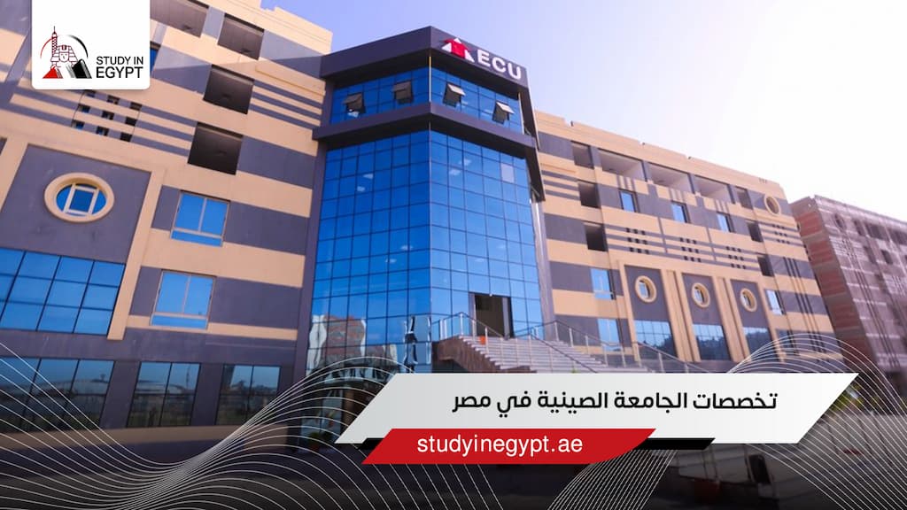 تخصصات الجامعة الصينية في مصر