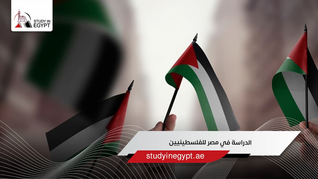 الدراسة في مصر للفلسطينيين