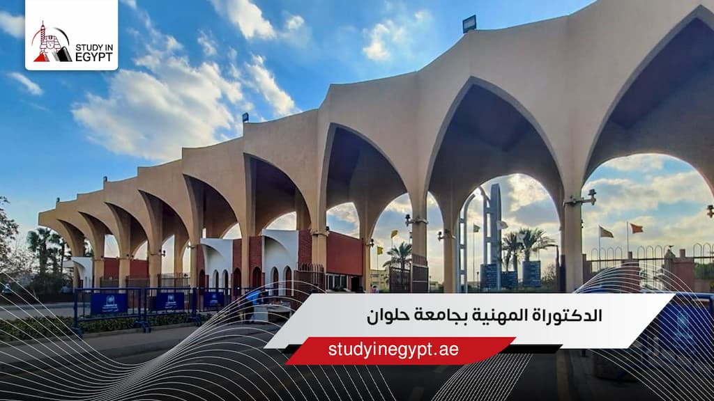 الدكتوراة المهنية بجامعة حلوان