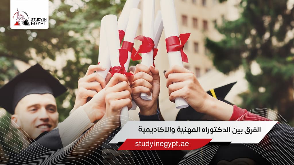 الفرق بين الدكتوراه المهنية والاكاديمية