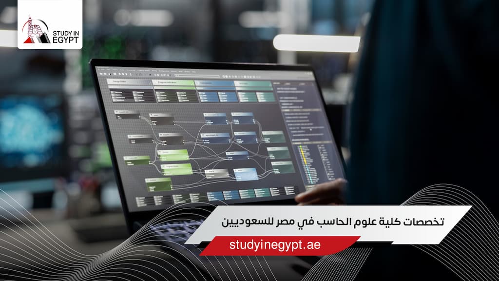 تخصصات كلية علوم الحاسب في مصر للسعوديين
