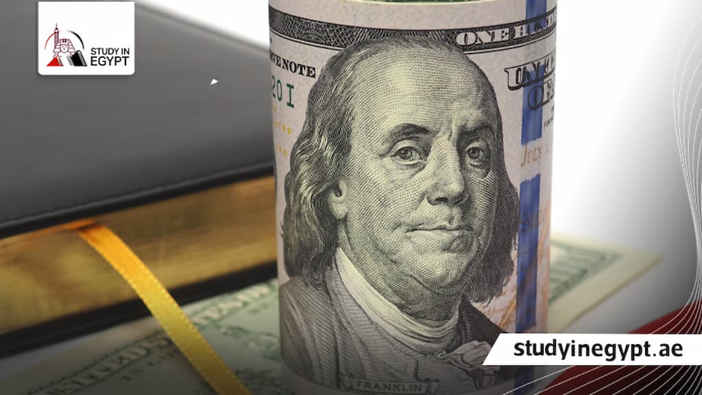 مصاريف الماجستير جامعة الإسكندرية