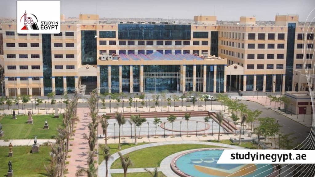 أرخص كلية تجارة خاصة في مصر