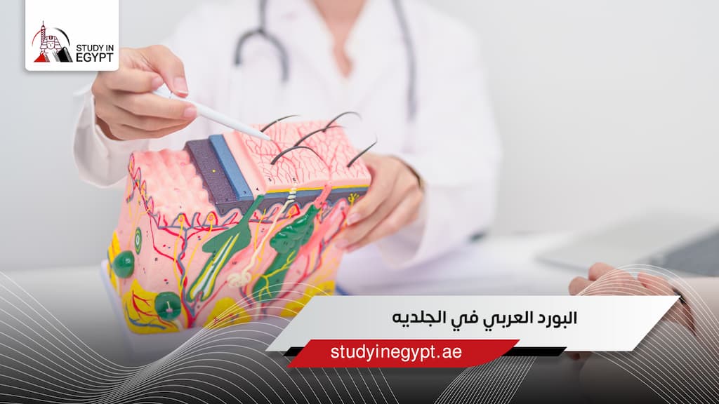 البورد العربي في الجلديه