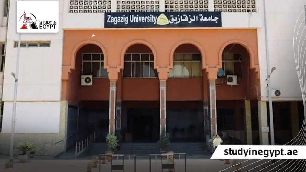 الماجستير المهنى جامعة الزقازيق