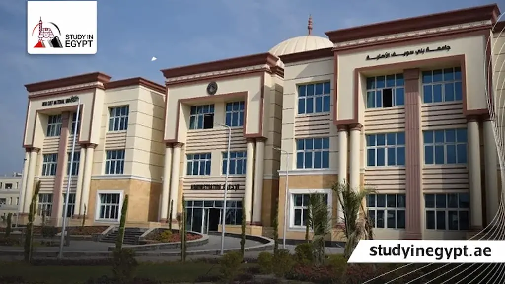 الماجستير المهنى جامعة بنى سويف