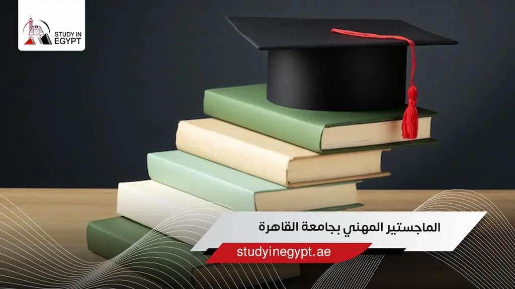 الماجستير المهني بجامعة القاهرة
