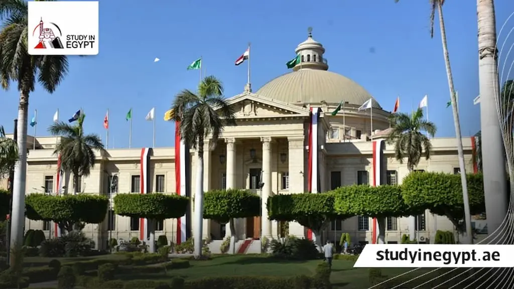 الماجستير المهني بجامعة القاهرة