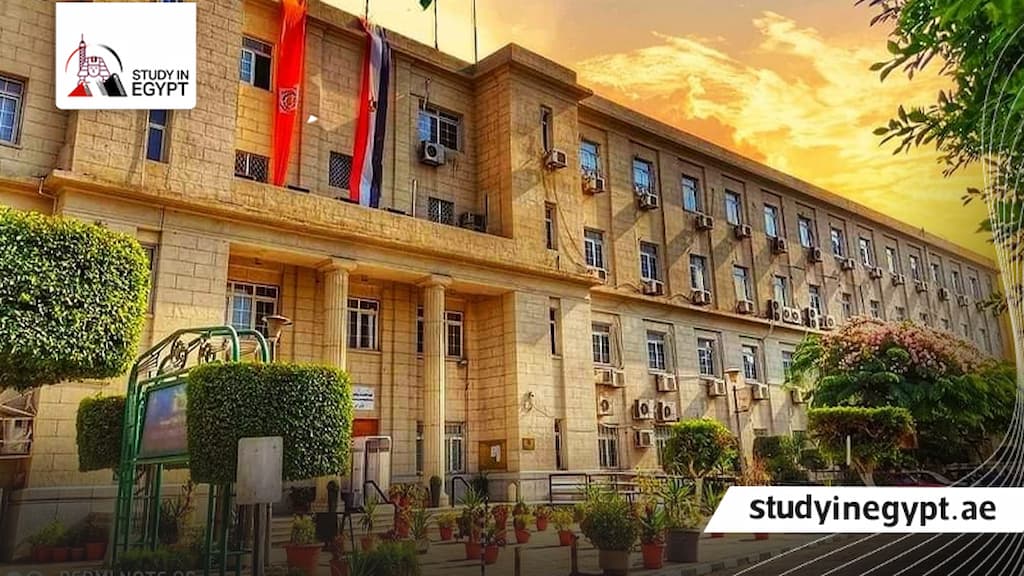 تخصصات كلية اقتصاد وعلوم سياسية