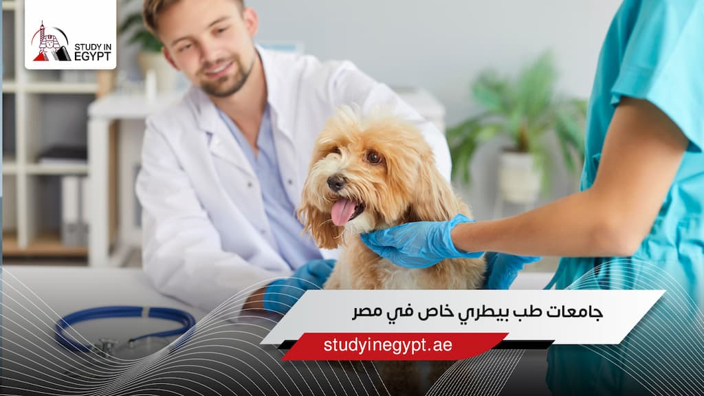 جامعات طب بيطري خاص في مصر