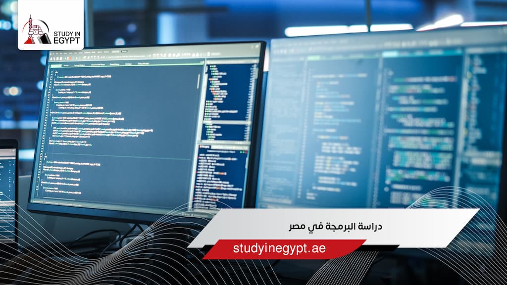 دراسة البرمجة في مصر