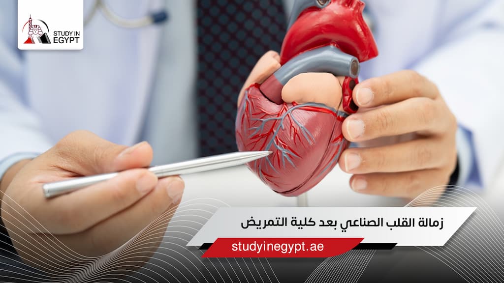 زمالة القلب الصناعي بعد كلية التمريض