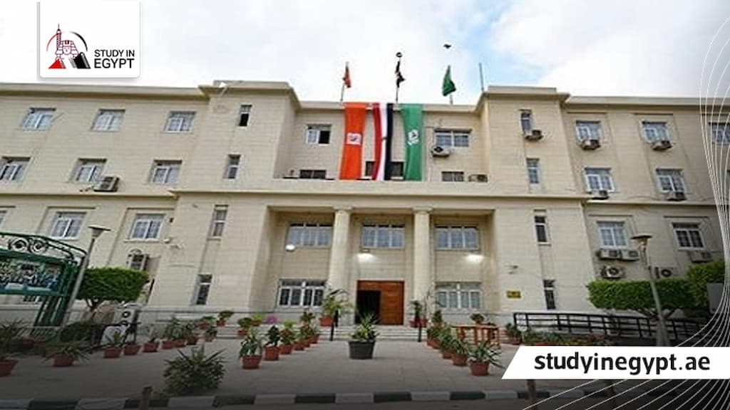 كليات الاقتصاد والعلوم السياسية في مصر