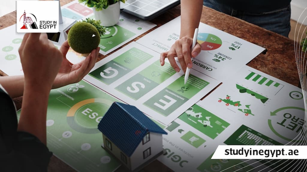 كليات هندسة الطاقة المتجددة في مصر