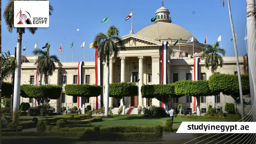 ماجستير الذكاء الاصطناعي جامعة القاهرة