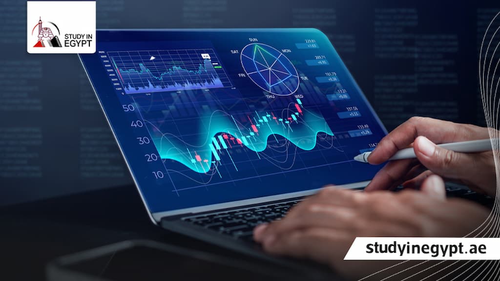 ماجستير تحليل البيانات جامعة القاهرة