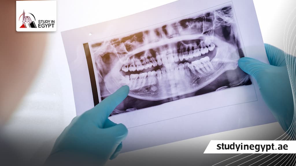 ماجستير طب أسنان في مصر