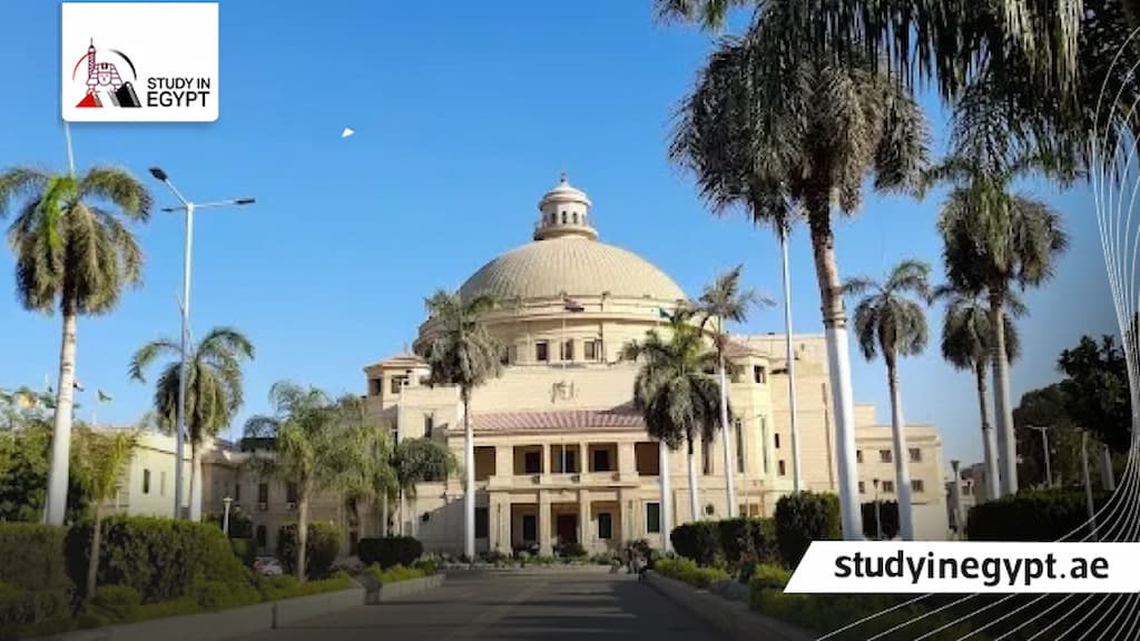 ماجستير كلية الحقوق جامعة القاهرة|