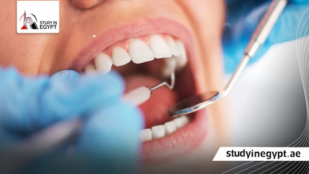 أرخص دولة لدراسة ماجستير طب الأسنان