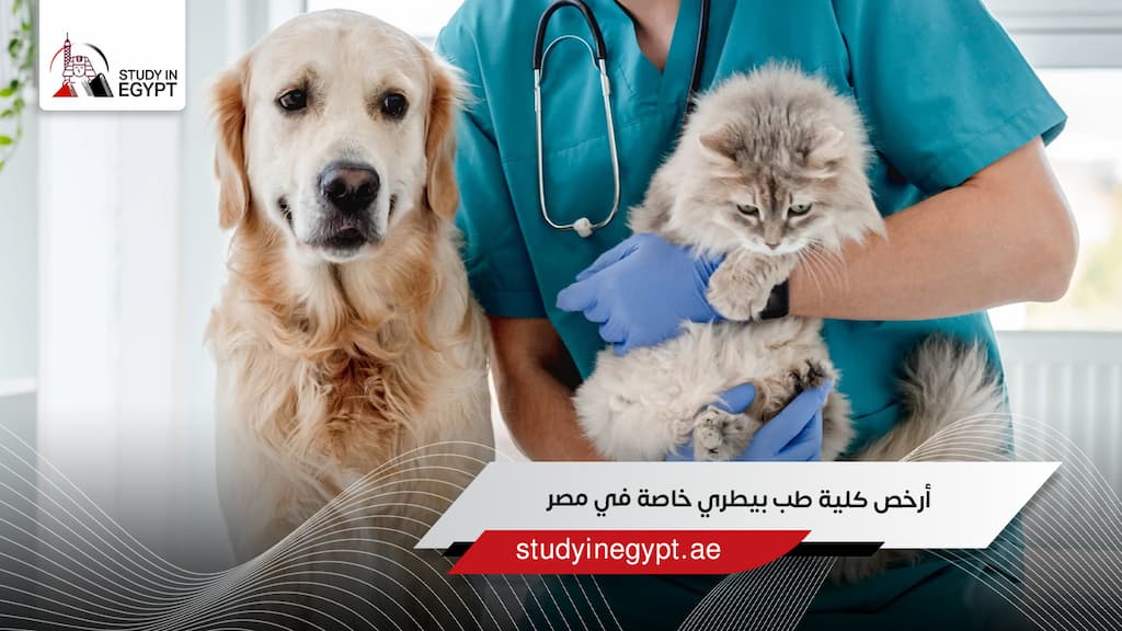 أرخص كلية طب بيطري خاصة في مصر