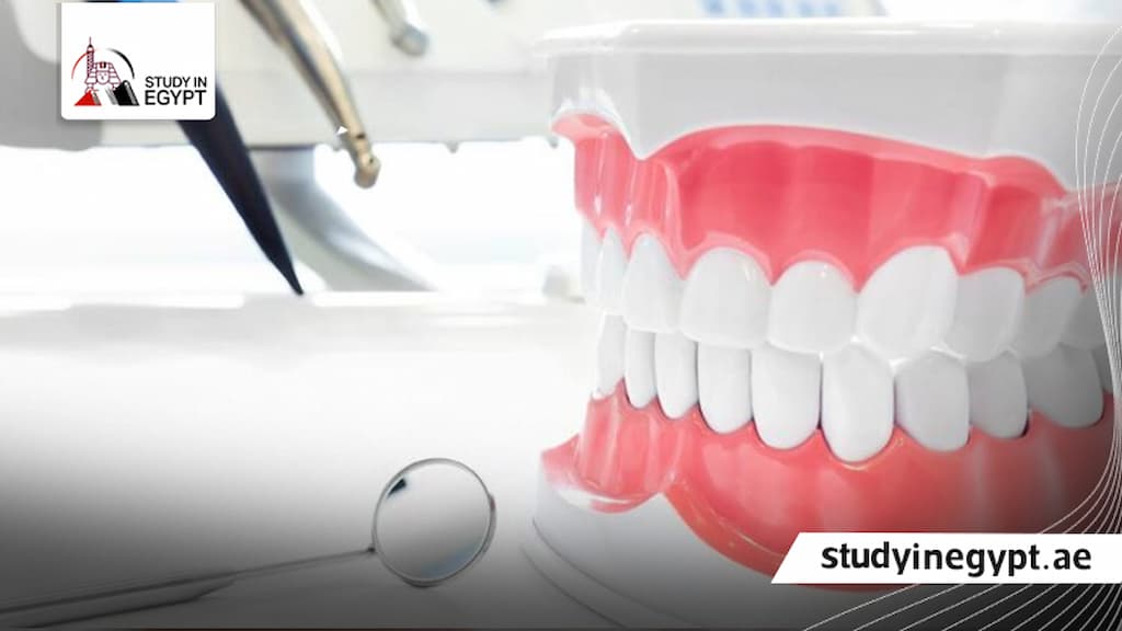 أفضل 10 كليات طب أسنان في مصر