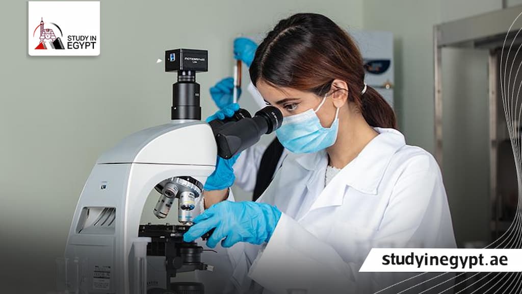 أفضل تخصص في العلوم الطبية