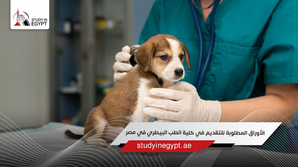 الأوراق المطلوبة للتقديم في كلية الطب البيطري في مصر