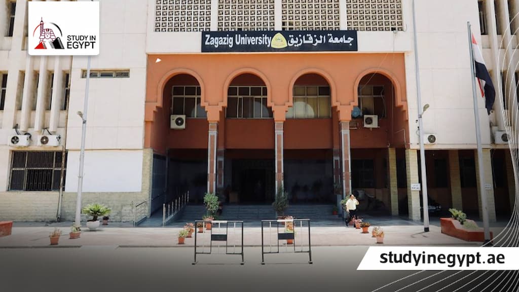 الدراسات العليا جامعة الزقازيق كلية الطب