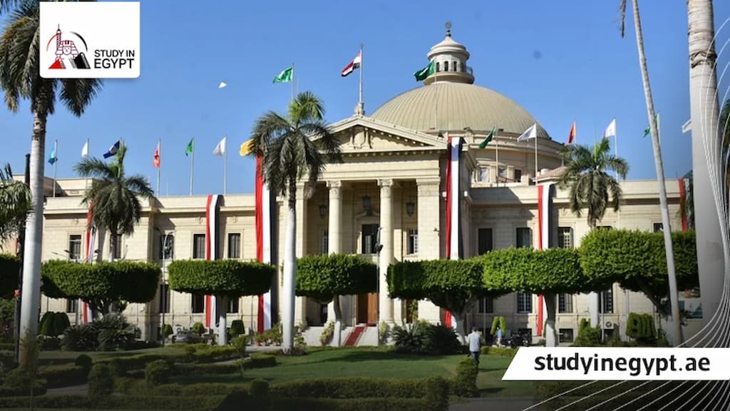 الدراسات العليا كلية التجارة جامعة القاهرة