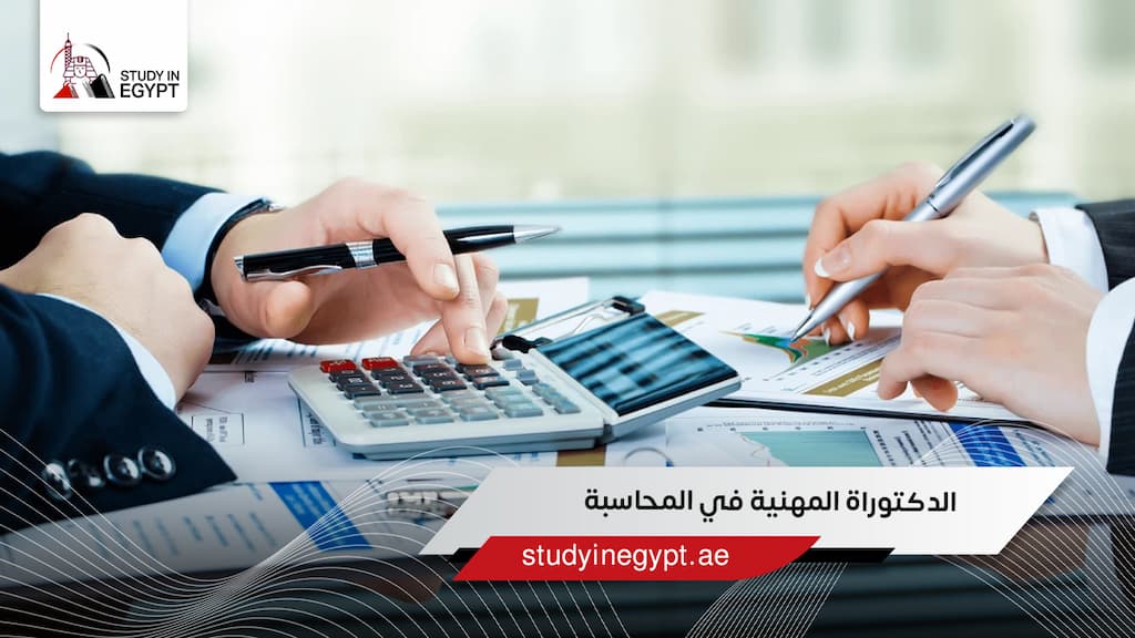 الدكتوراة المهنية في المحاسبة