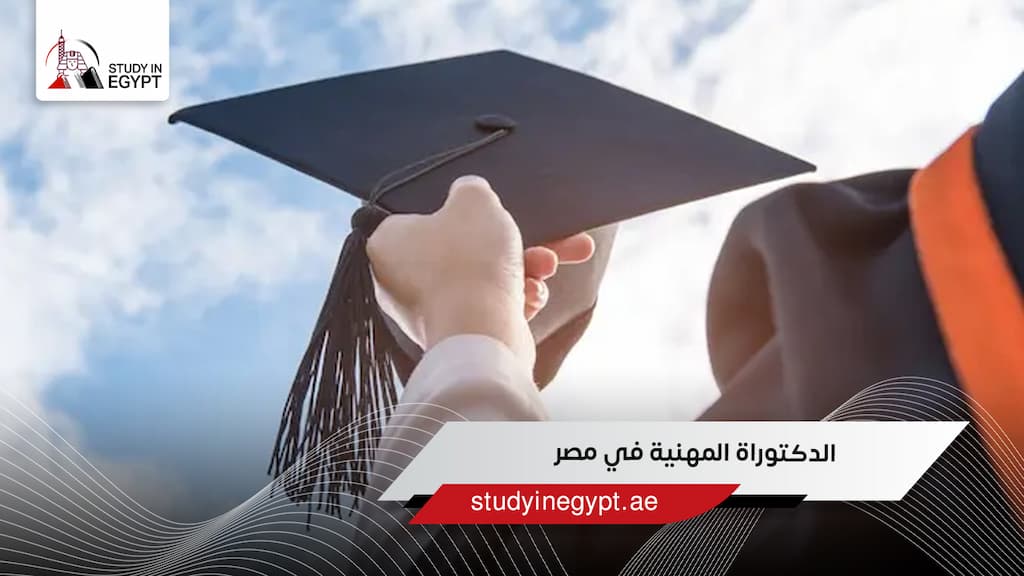 الدكتوراة المهنية في مصر