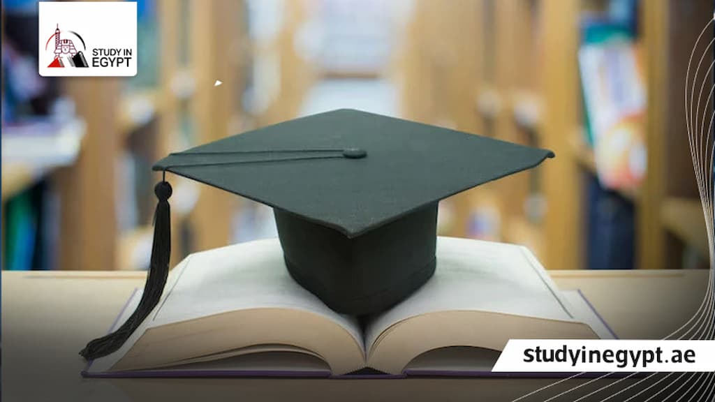 الدكتوراة المهنية في مصر