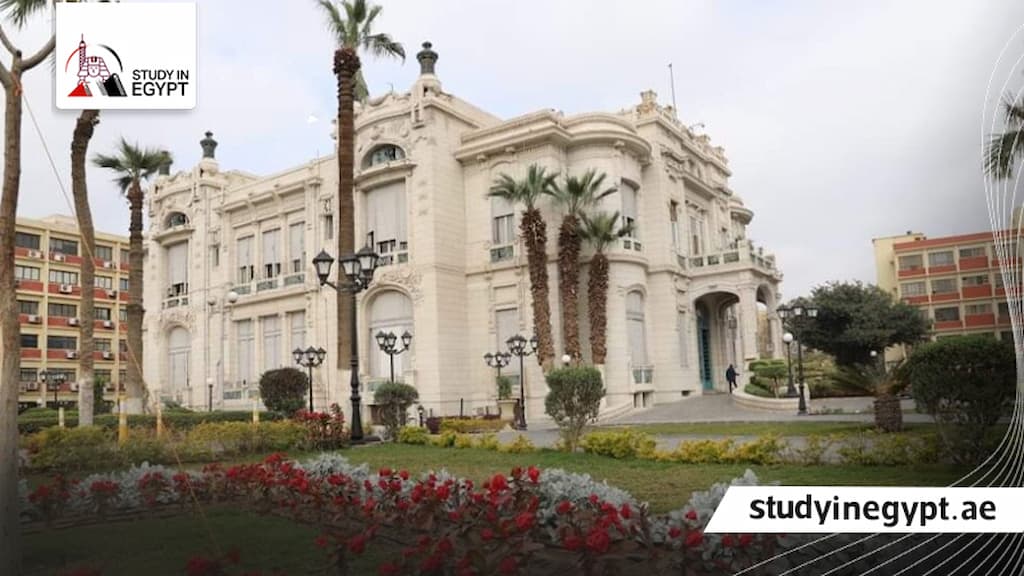 الكليات المتاحة في التعليم المفتوح جامعة عين شمس