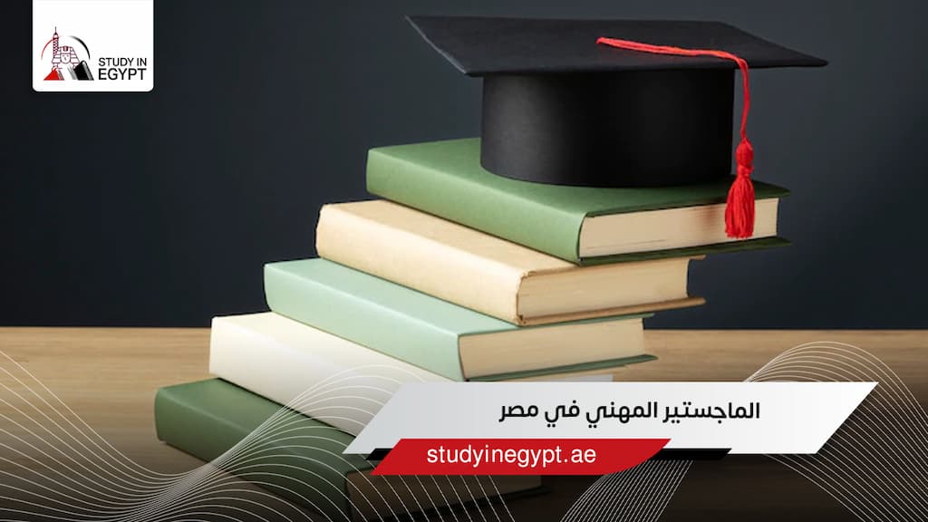 الماجستير المهني في مصر