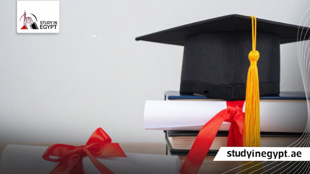 الماجستير المهني في مصر