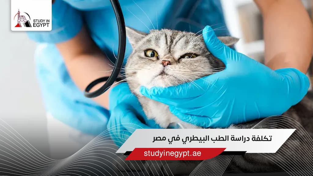 تكلفة دراسة الطب البيطري في مصر